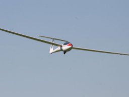 IMG_6921