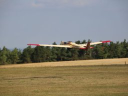 DY2A5256