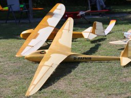 DY2A5277