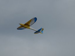 DSC02155