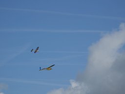 DSC02161