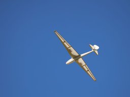 ES3A0418