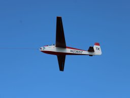 IMG_4961