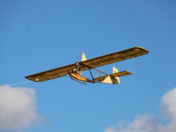 IMG_4964