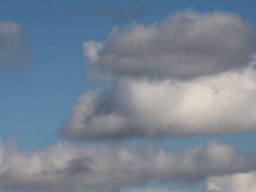 IMG_4970