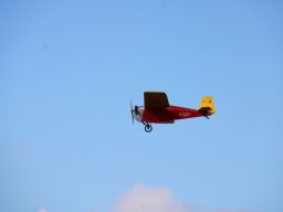 IMG_4977