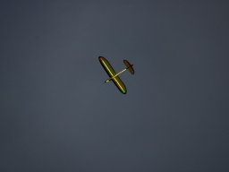 IMG_5008
