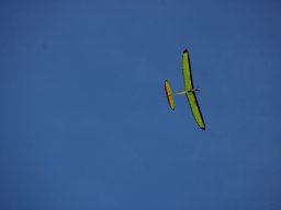 IMG_5019