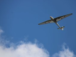 IMG_5087