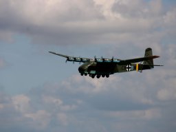 IMG_5101