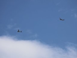 Holzwurmtreffen2022