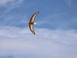 Holzwurmtreffen2022