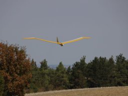 Holzwurmtreffen2022