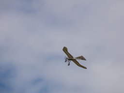 Holzwurmtreffen2022