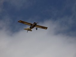 Holzwurmtreffen2022