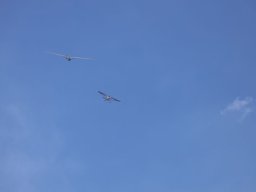 Holzwurmtreffen2022