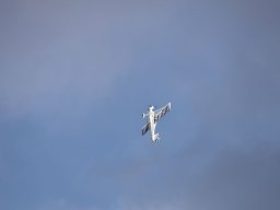 Holzwurmtreffen2022