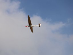 Holzwurmtreffen2022