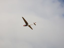 Holzwurmtreffen2022