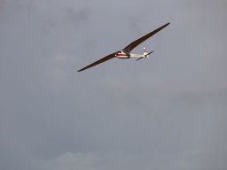 Holzwurmtreffen2022
