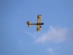 Holzwurmtreffen2022