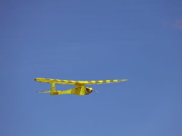 Holzwurmtreffen2022