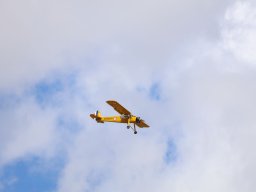 Holzwurmtreffen2022