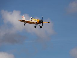 Holzwurmtreffen2022