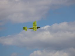 Holzwurmtreffen2022