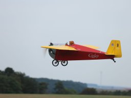 Holzwurmtreffen 2024